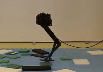 The Bolt biped walking on uneven ground